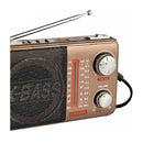 Sankey Radio Portátil | Sintonización FM | Correa Portable | Bluetooth | Marrón