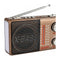 Sankey Radio Portátil | Sintonización FM | Correa Portable | Bluetooth | Marrón