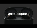 Sony WF-1000XM5 True Wireless Audífonos Inalámbricos Bluetooth | Noise Cancelling | Silver