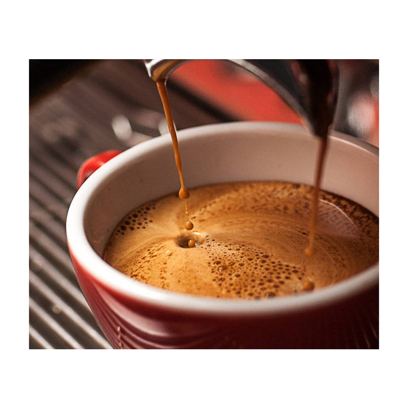 Cafetera de vapor Oster espresso y cappuccino